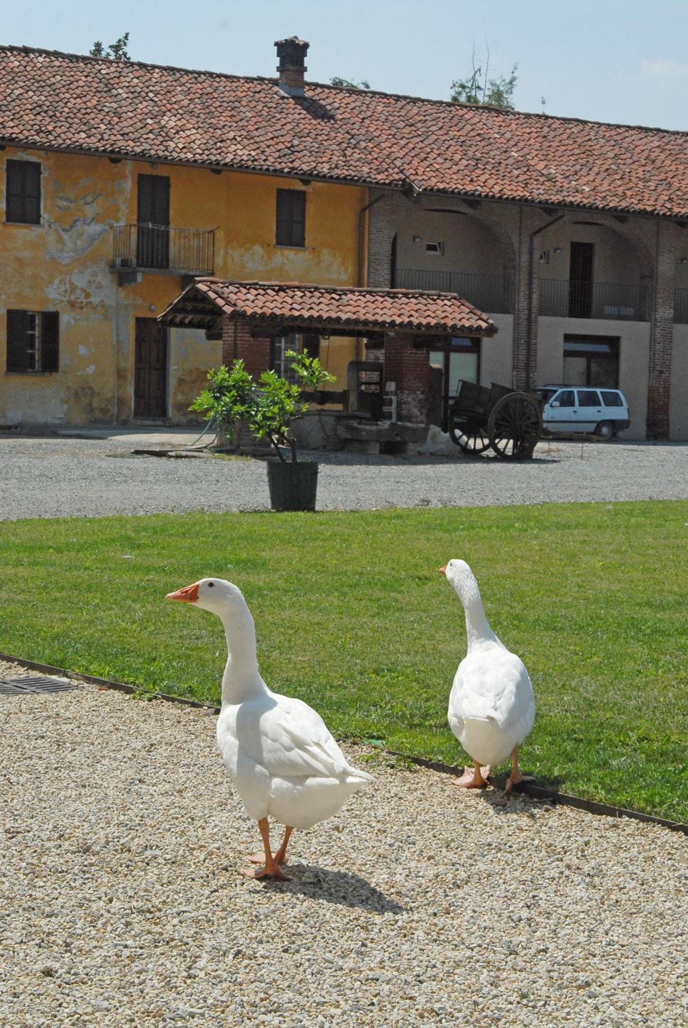 Hotel Antico Podere Propano Saluzzo Dış mekan fotoğraf